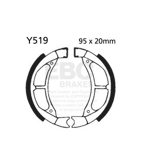 Y519