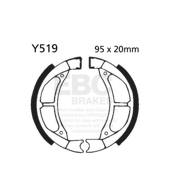 Y519