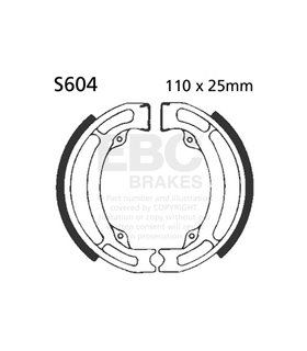 S604G