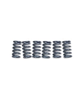 Muelles de embrague EBC CSK010