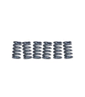 Muelles de embrague EBC CSK918